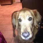 Kathy Tilson - @ktilson2 - Instagram