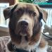Kathy Timms - Facebook