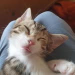 Kathi Tinney - @kathitinney - Instagram