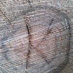 Kathy Tinney - @tinneykathy - Instagram