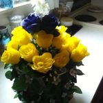 Kathy Tinney - @kathy.tinney.73 - Instagram