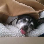 Kathy Tipton - @ktipton10309 - Instagram