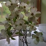 Kathy tipton - @tipton5922 - Instagram