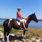 Kathy Tipton Wolfe - @kwolfe0818 - Instagram