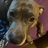 kathytipton678 - @kathytipton678 - TikTok