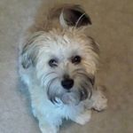 Kathy Toler Clements - @kathy.tolerclements - Instagram
