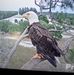 Kathy Tomaszewski - Facebook