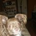 Kathy Tomlin - Facebook