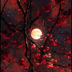 Kathy Torrez - Facebook