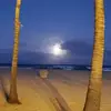 kathytorrey522 - @kathytorrey522 - TikTok