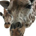Kathy Towns - @townskathy - Instagram