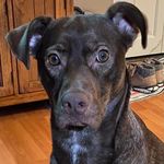 Kathy Tozer - @ktozer1959 - Instagram