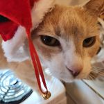 Kathy Trainor - @kathy.trainor.71 - Instagram