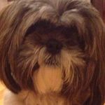 Kathy Trainor - @kt920.1 - Instagram