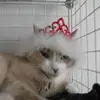 Kathy Trainor - @kathytrainor74 - TikTok