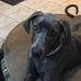 Kathy Trainor Lapointe - Facebook