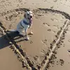 Katy Trainor - @katy.trainor - TikTok