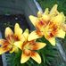 Kathy Traub - Facebook