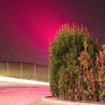 Kathie Trautner - @kathlinereese482 - Instagram