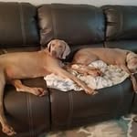 Kathy Trim - @trim9276 - Instagram