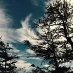 Moon Wind - @kathy.trimbur - Instagram