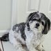 Kathy Trimmer - Facebook