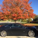 Kathy Trinkle - @auntgak - Instagram