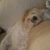Kathy Triolo - Facebook