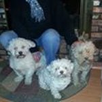 Kathy Cook-Troll - @kathycooktroll - Instagram