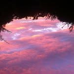 Kathy Trowell - @kathytrowell - Instagram