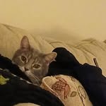 Kathy Trowbridge - @kathy.trowbridge.75 - Instagram
