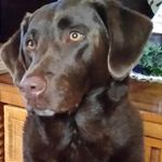 Kathy Trudeau - @kathyfentontrudeau - Instagram