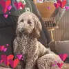 kathy - @kathytruemeunier - TikTok
