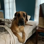 Kathy Trusty - @trusty_kathy - Instagram