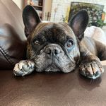 Kathy Vinciguerra - @kathy.tryon.7 - Instagram