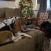 Katherine Turnquist - Facebook