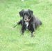 Kathy Turnquist - Facebook