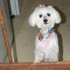 kathyturnquist342 - @kathyturnquist342 - TikTok