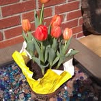 Kathy Twining - Facebook