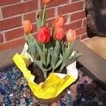 Kathy Twining - @kathytwining357 - Instagram