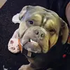 kathy.twing - @kathy.twing - TikTok