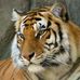 Kathy Ulm - Facebook