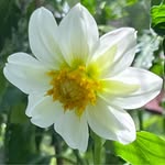 Kathy Reed Unger - @kathyunger - Instagram