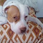 Kathy Unger - @kat9unger - Instagram