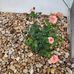 Kathy Hall Utterback - Facebook
