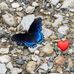 Kathy Utterback - Facebook