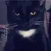 KathyVal - @.kathyval - TikTok