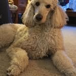 Kathy - @kathy_vanhook - Instagram