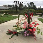 Kathy Varnell - @varnellkathy - Instagram