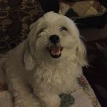 Kathy Vaught - @vaught.kathy - Instagram